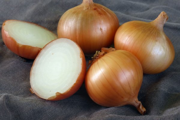Даркнет маркет кракен onion