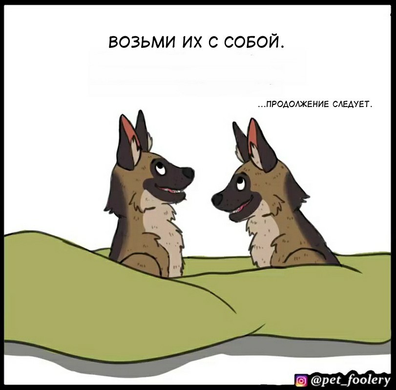 Запрещенный сайт кракен
